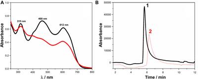 Stability of Acid Black 210 dye in Tannery Industry Effluent in Aqueous Solution Is Limited and Generates Harmful Subproducts